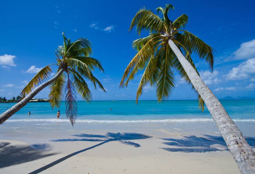 Das tropische Klima von Punta Cana ermöglicht es uns seine Strände zu genießen