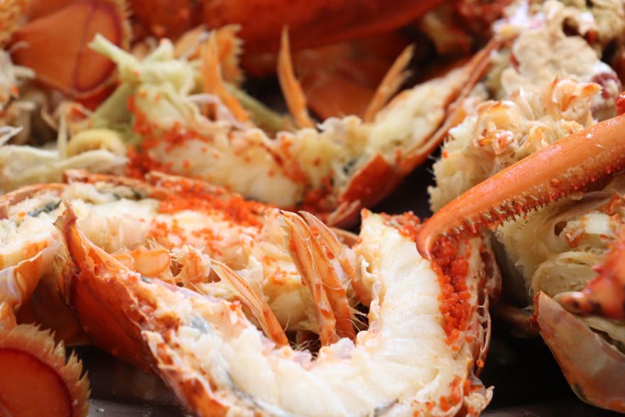 Typical gastronomy of the Dominican Republic