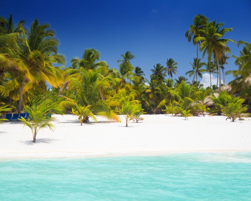 White sand on the beaches of Saona Island, in Punta Cana