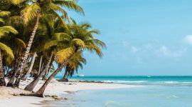 Saona Island in Punta Cana, an ideal place to visit as family