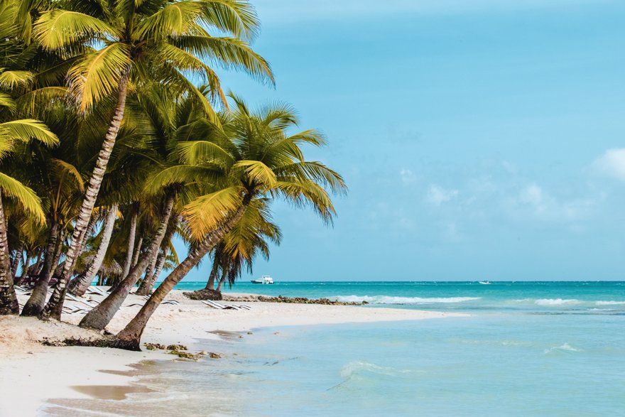 Saona Island in Punta Cana, an ideal place to visit as family
