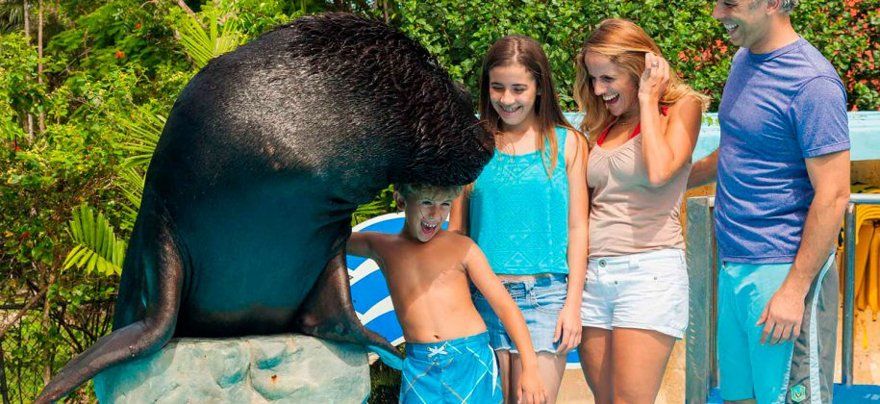 Shows with animals and traditions from Punta Cana