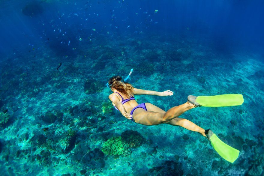 Diving in the waters of Punta Cana