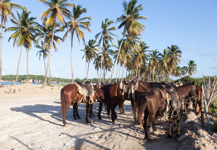 montar a caballo en Punta Cana