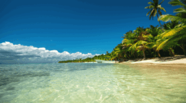Vacaciones en Punta Cana