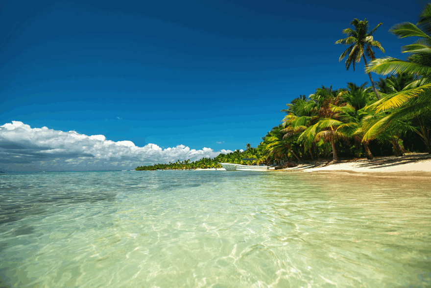 Vacaciones en Punta Cana