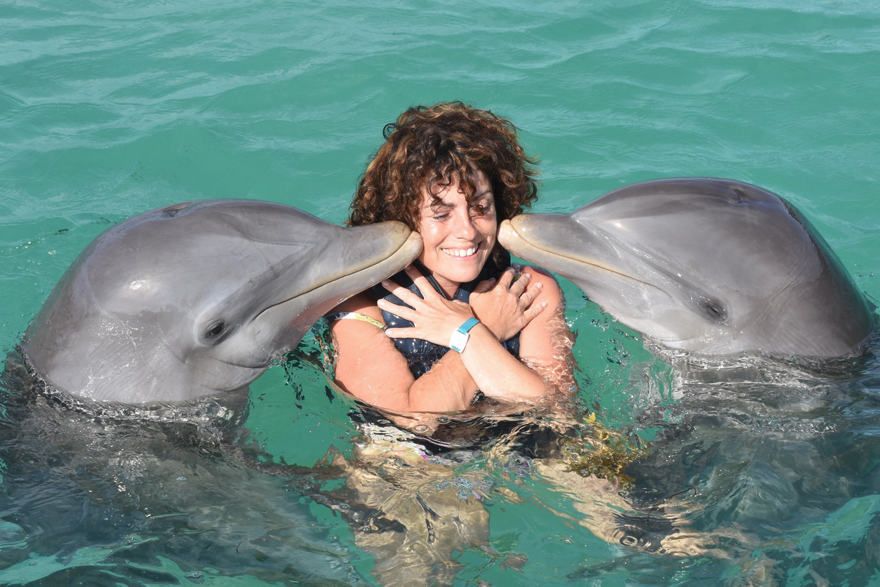 Aktivitäten mit Delfinen in Punta Cana