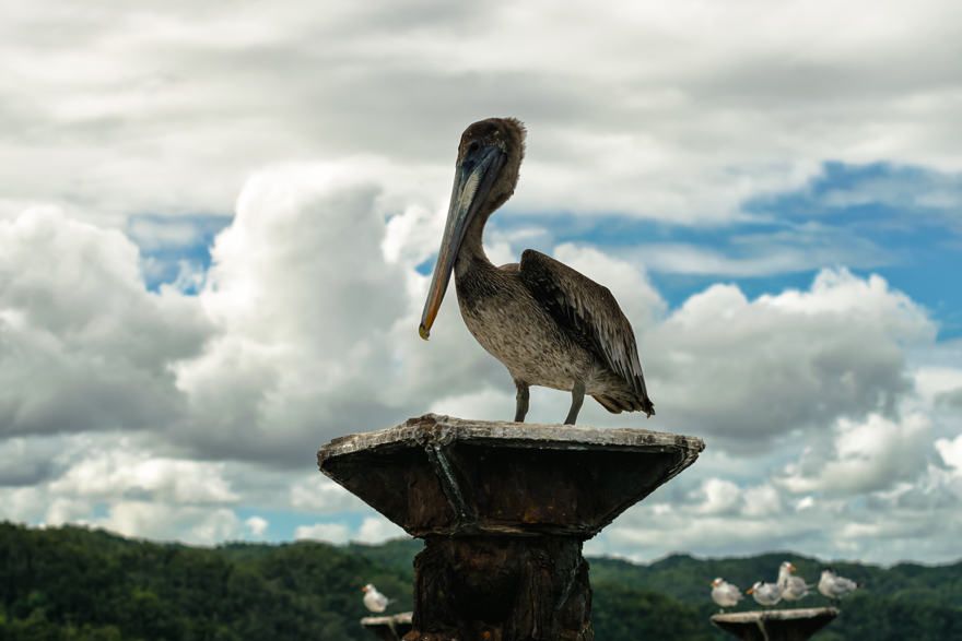 LOS HAITISES NATIONALPARK