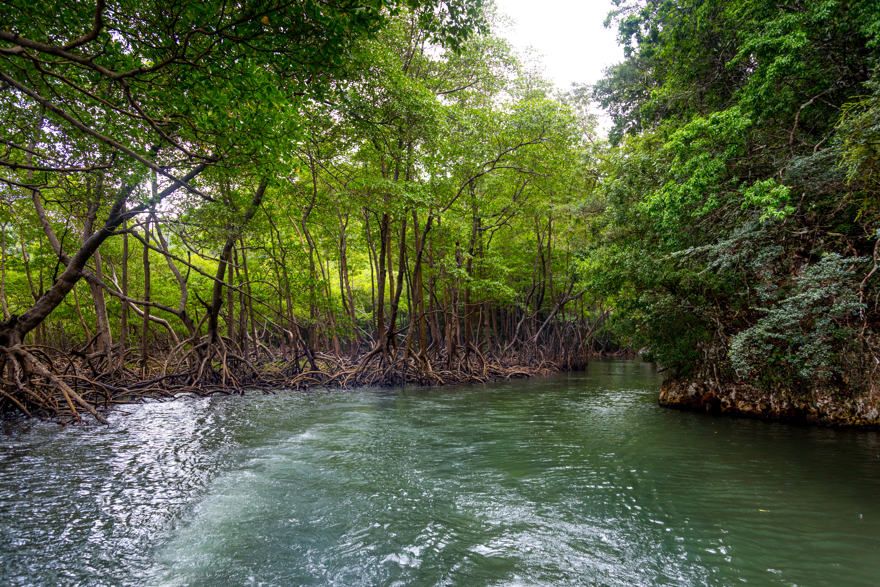 PARC NATIONAL LOS HAITISES