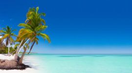What’s the weather like in Punta Cana in August?