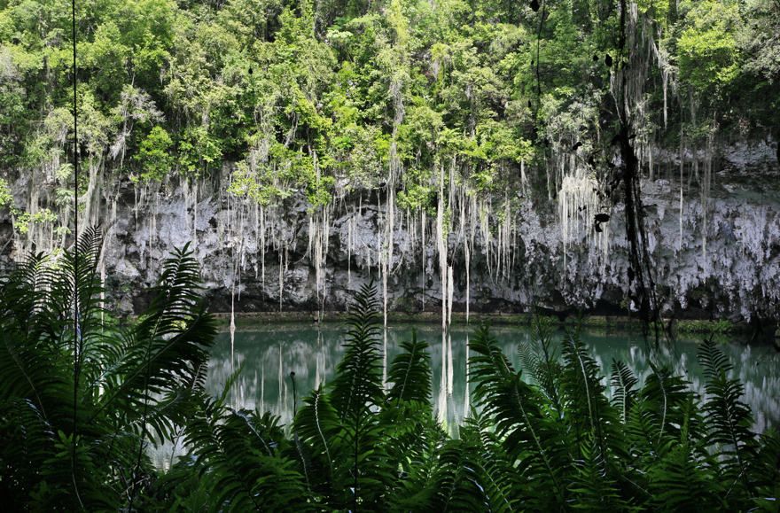 Lago los Zaramagullones