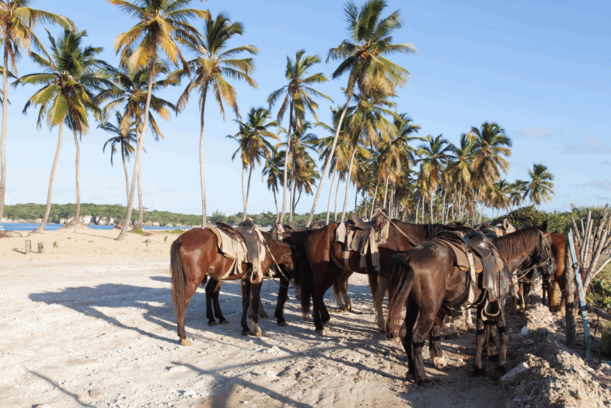 Randonnée équestre sur la plage d’Arena Gorda