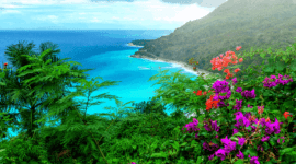 Caribbean landscape