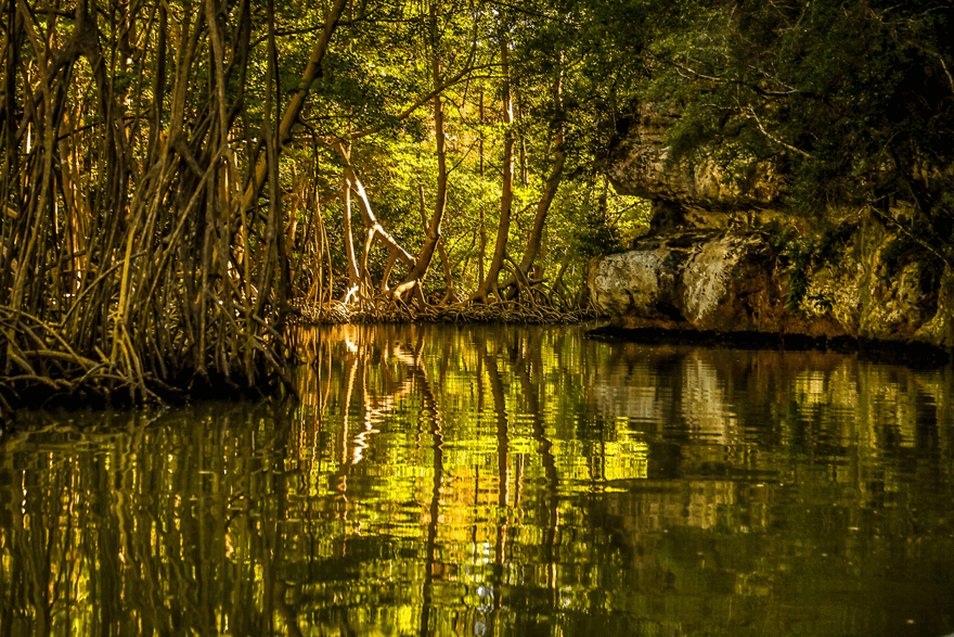  Los Haitises National Park