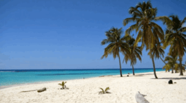 Playa de Arena Gorda