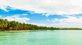 météo à Punta Cana en novembre