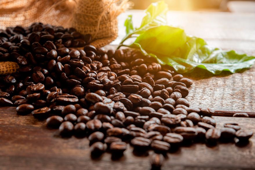 Kaffee in Moca, Dominikanische Republik Kaffee in Moca, Dominikanische Republik