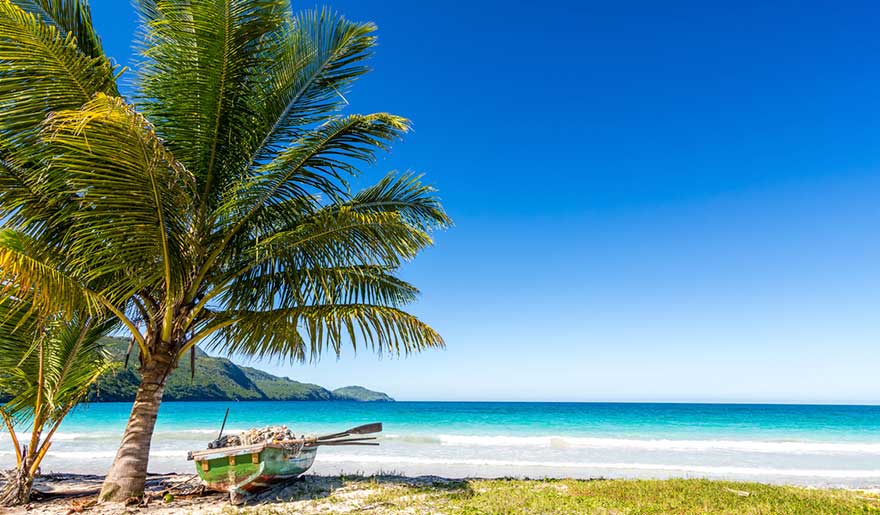 Palmiers à côté d'un bateau en bois sur la rive de Playa Rincón Palmiers à côté d'un bateau en bois sur la rive de Playa Rincón