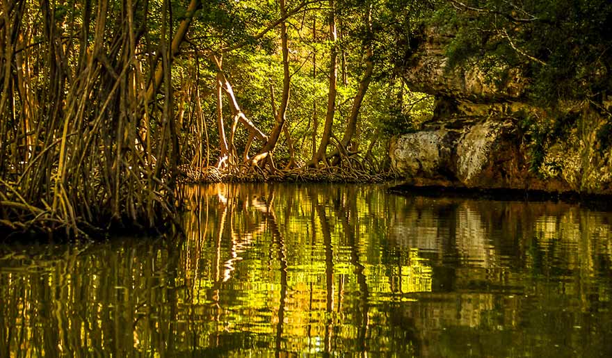 River located in the Los Haitises National Park
