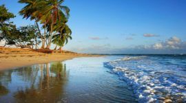 Beach shore in Las Terrenas in Punta Cana
