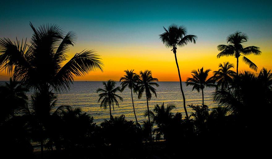 Palm trees in Playa Cosón in Samaná, seen at sunset