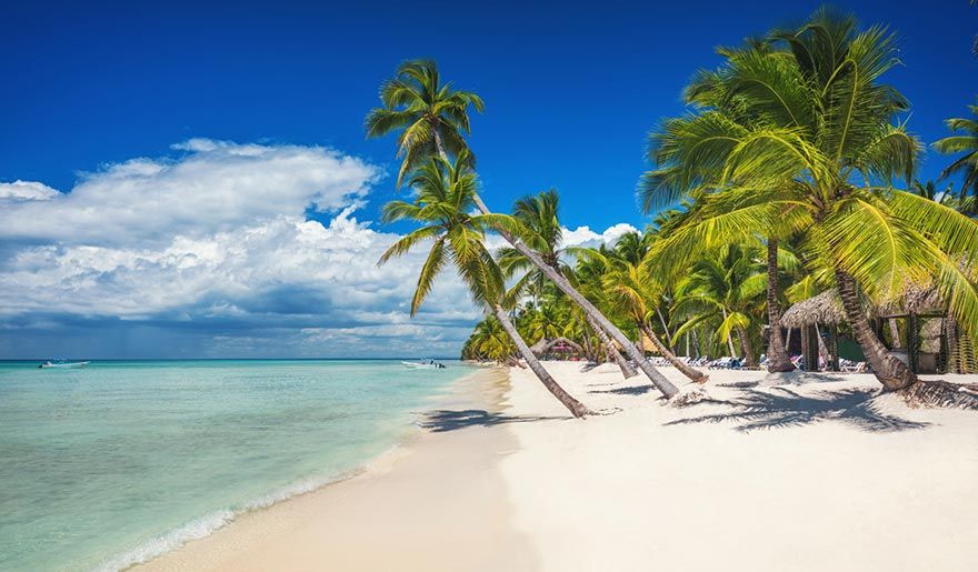 Beach with palm trees and a sailing boat in Playa Bávaro Beach with palm trees and a sailing boat in Playa Bávaro