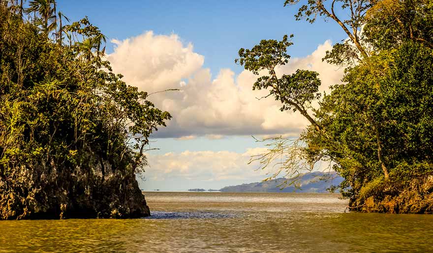 River that flows into the sea in the Los Haitises National Park River that flows into the sea in the Los Haitises National Park