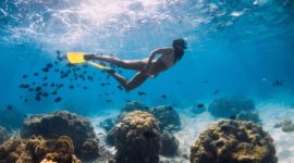 Woman snorkelling in the waters of Cabo Rojo
