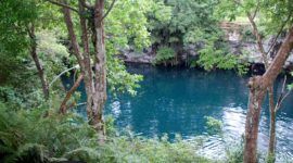 Visitez la lagune Dudú, vue depuis la forêt