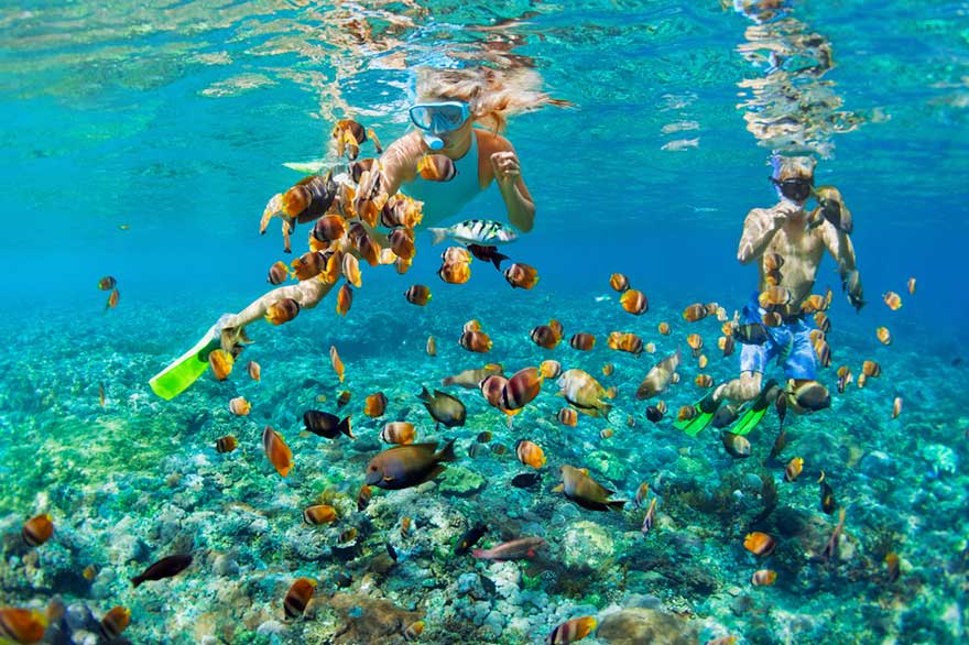 Dos-personas-haciendo-snorkel-bajo-el-agua-cristalina-en-República-Dominicana
