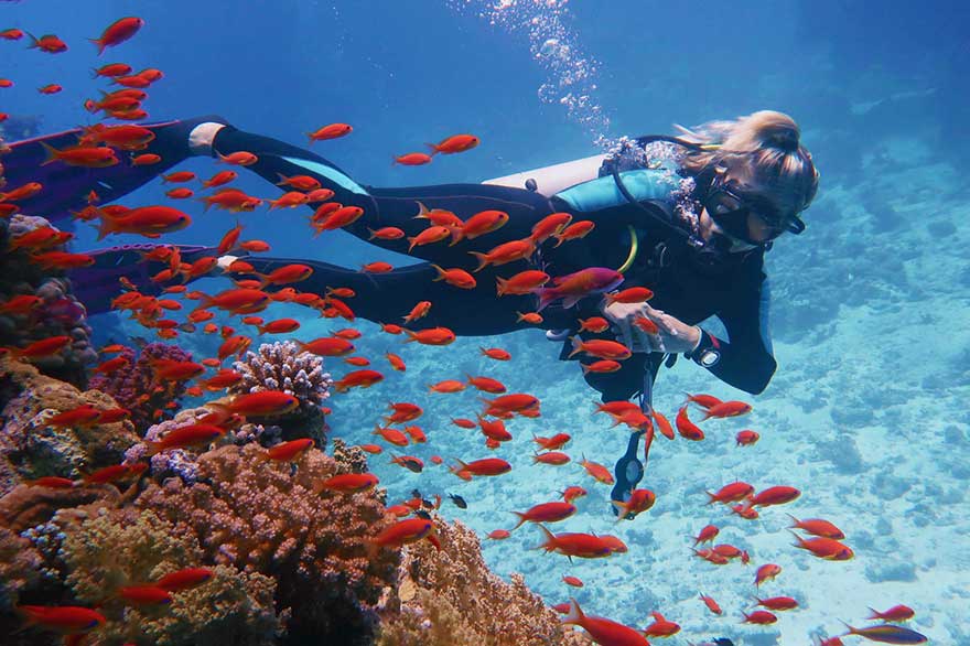 Persona-buceando-en-Punta-Cana-observando-un-arrecife-de-coral