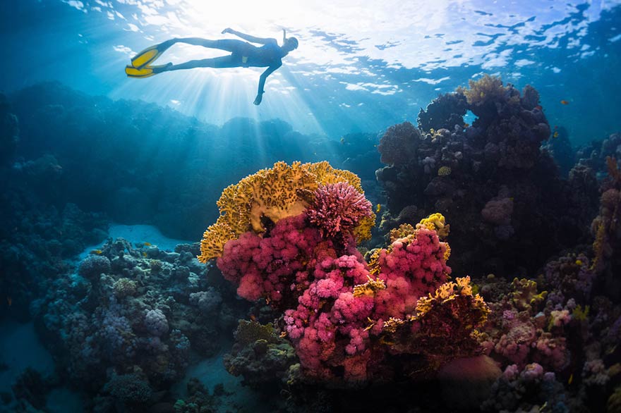 Des personnes en train de faire du snorkeling dans les eaux des Caraïbes Des personnes en train de faire du snorkeling dans les eaux des Caraïbes