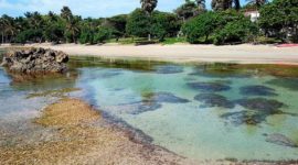 Playa Cofresí
