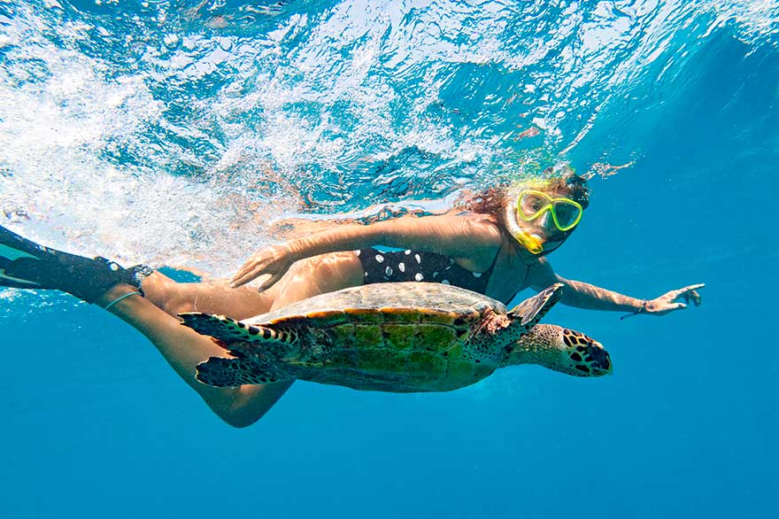 Snorkel en familia en Punta Cana - República Dominicana