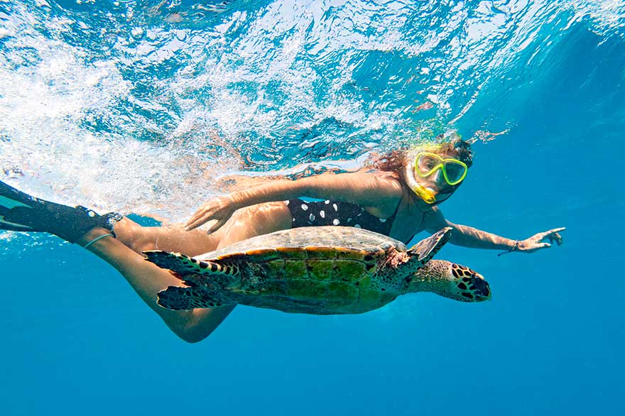 Family snorkelling in Punta Cana – Dominican Republic