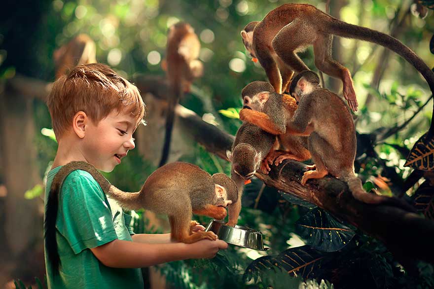 Monkeyland, ein tolles Abenteuer für die ganze Familie - Dominikanische Republik