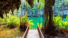 Trip to the Three Eyes National Park, in the Dominican Republic.