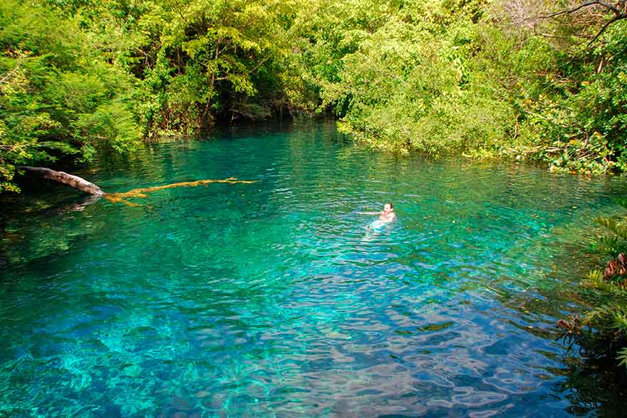Les lagunes d'Ojos Indígenas, un lieu parfait à visiter à l'été 2022