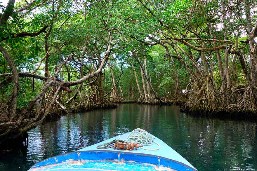 Naturaleza salvaje en la Laguna Gri-Gri, República Dominicana