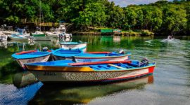 Laguna Gri-Gri, un paradis en République dominicaine